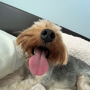 Meet your Posher, Caleb